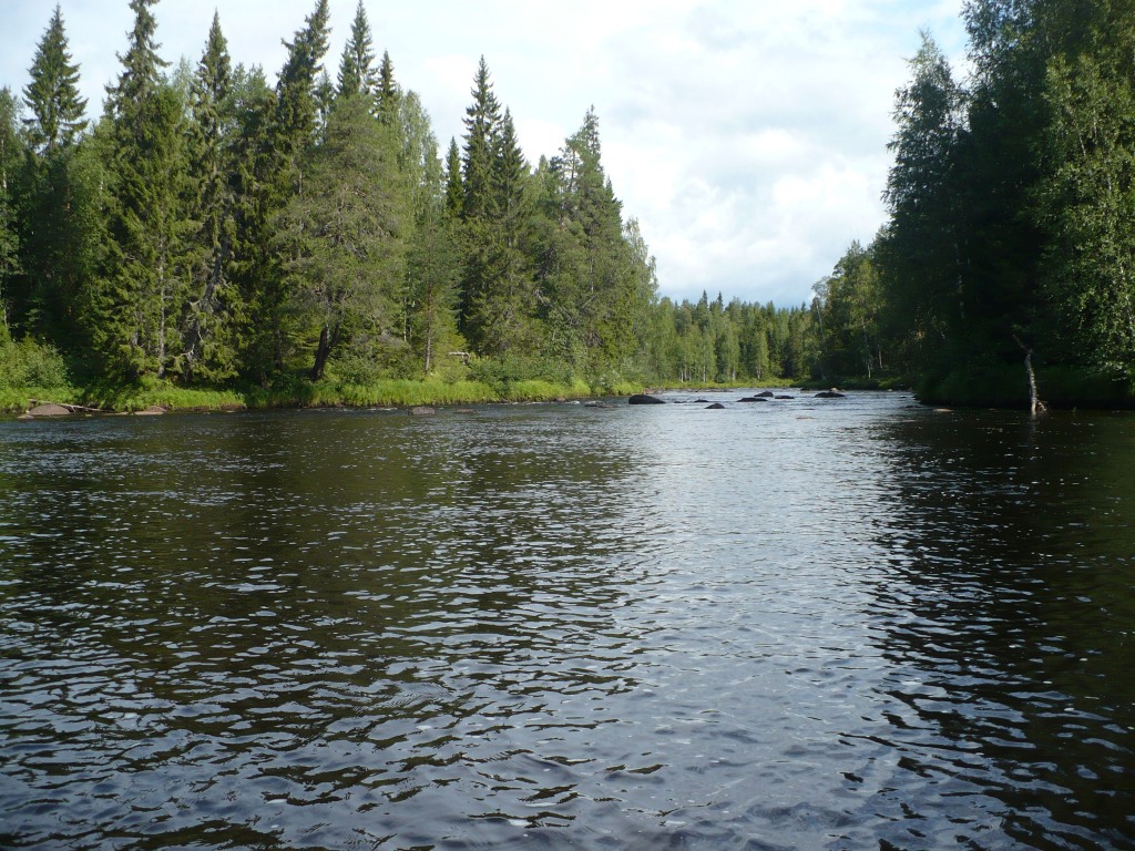 05 На воду.jpg